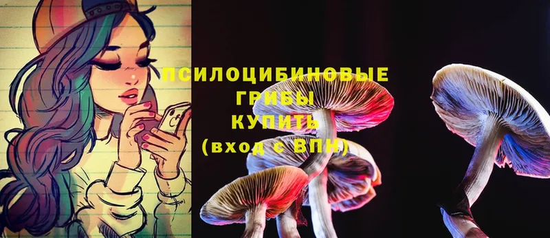 Псилоцибиновые грибы MAGIC MUSHROOMS  Алзамай 